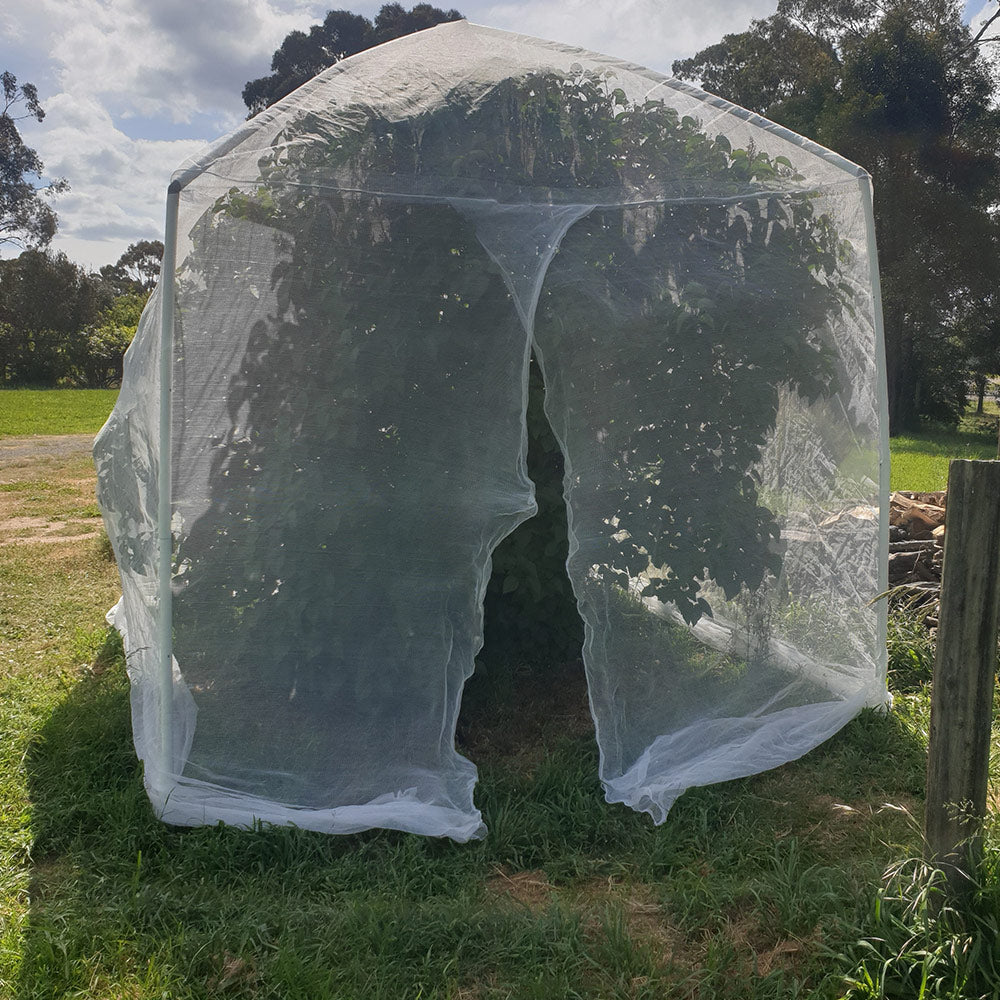 Tree Frame for Formed Insect Exclusion Net - 2.4m sq x 2.8m