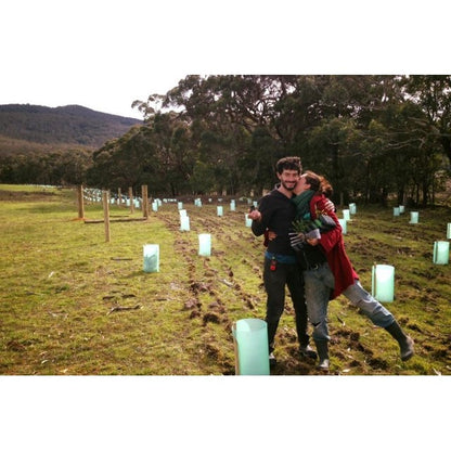 2024 Tree Planting Campaign