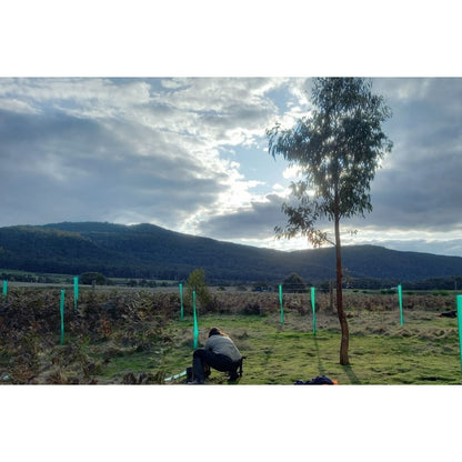 2024 Tree Planting Campaign