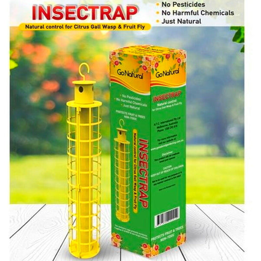 Insectrap with reusable cage