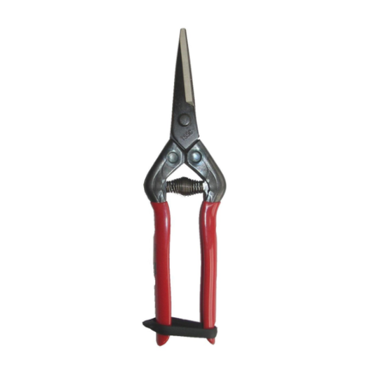 Secateurs - Fruit & Flower Shears - Picking Snips T-55C