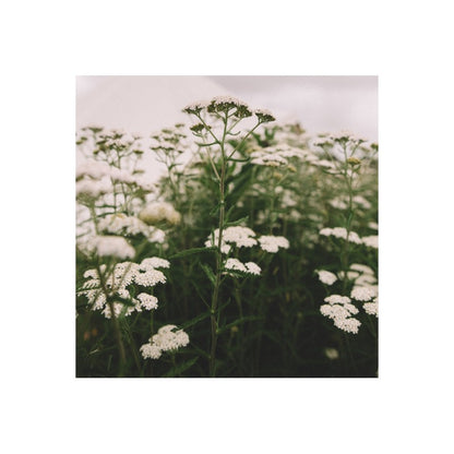 Herbal Tea - Yarrow