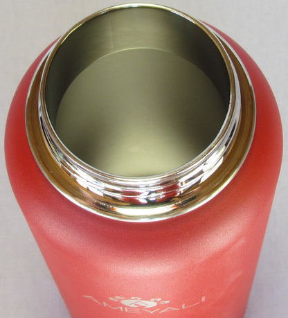 Stainless Steel Insulated Water Bottle – AMEYALI